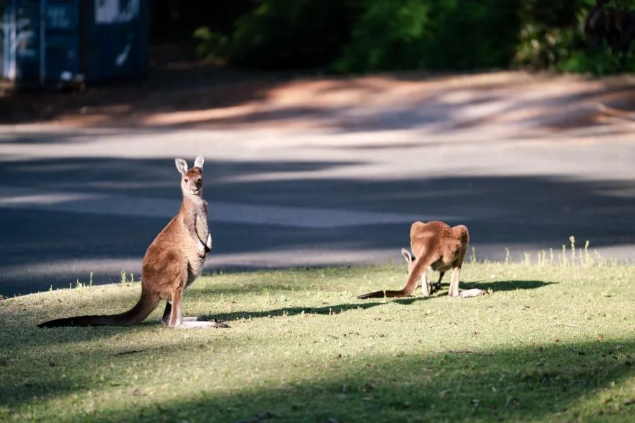 Perth Sky Curatorial Selection Committee members at the park site
